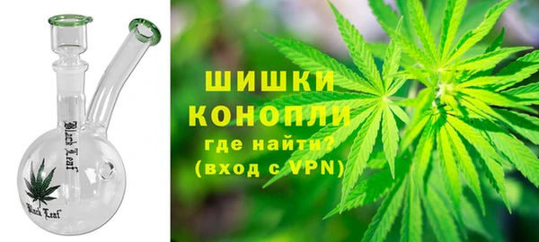 прущие грибы Арсеньев